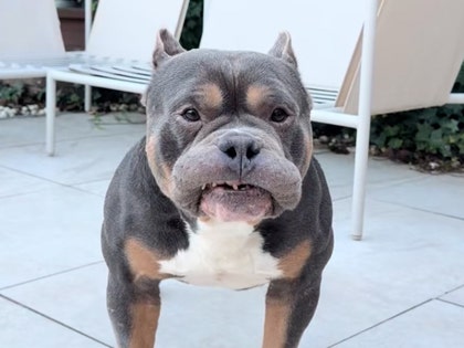 Remembering-Raffie-gallery-launch-ig-1