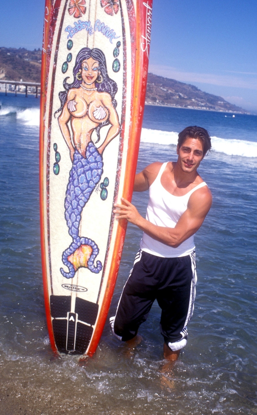 Michael Bergin Hot Shots 5