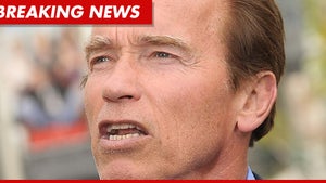 Arnold Schwarzenegger: I'm Spilling My Guts ... In a Book!