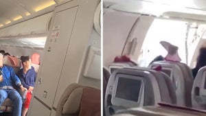 Passenger Opens Emergency Door Mid-Air on Asiana Flight, Video Shows Terror