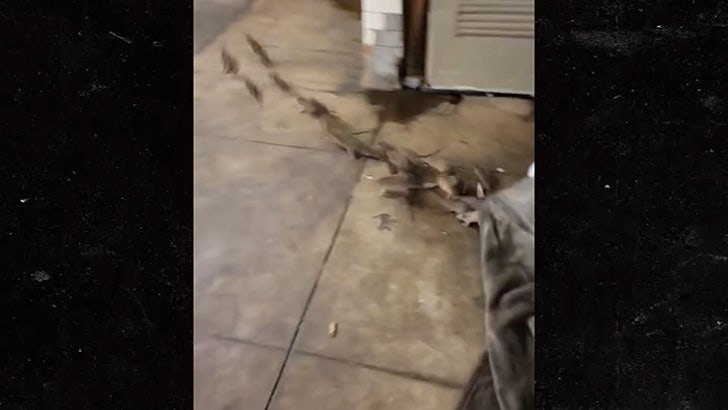 Rats Run Out From Under Homeless Person's Blanket on NYC Subway Platform