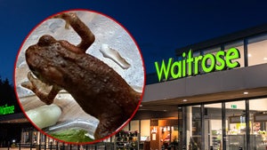 toad waitrose grocery store