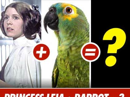 0329_celeb_mash_launch_03