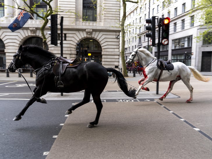 Horses Loose On The Streets Of London