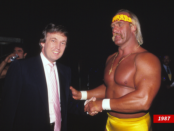 donald trump hulk hogan sub getty