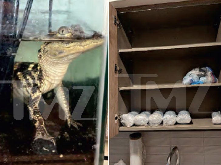 LA apartment, seizing massive fentanyl stash and alligator 1