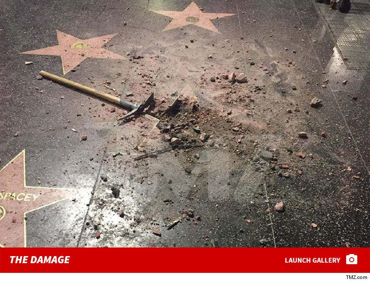 Donald Trump's Damaged Star
