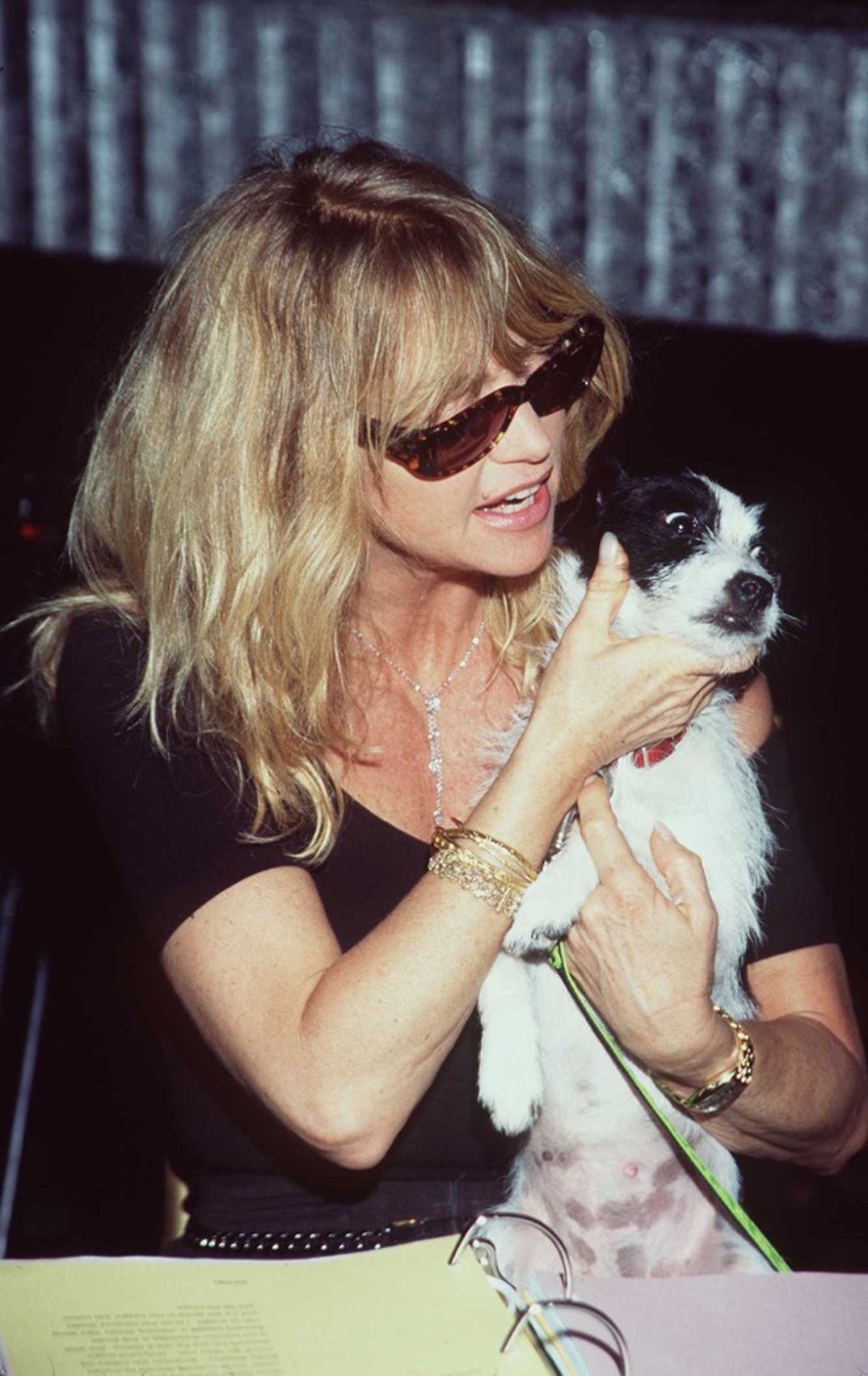 1998 -- Goldie Hawn has walked away from countless award shows with big wins, but at the 55th Golden Globes, she presented her fluffiest win yet: her dog, Snoopy!