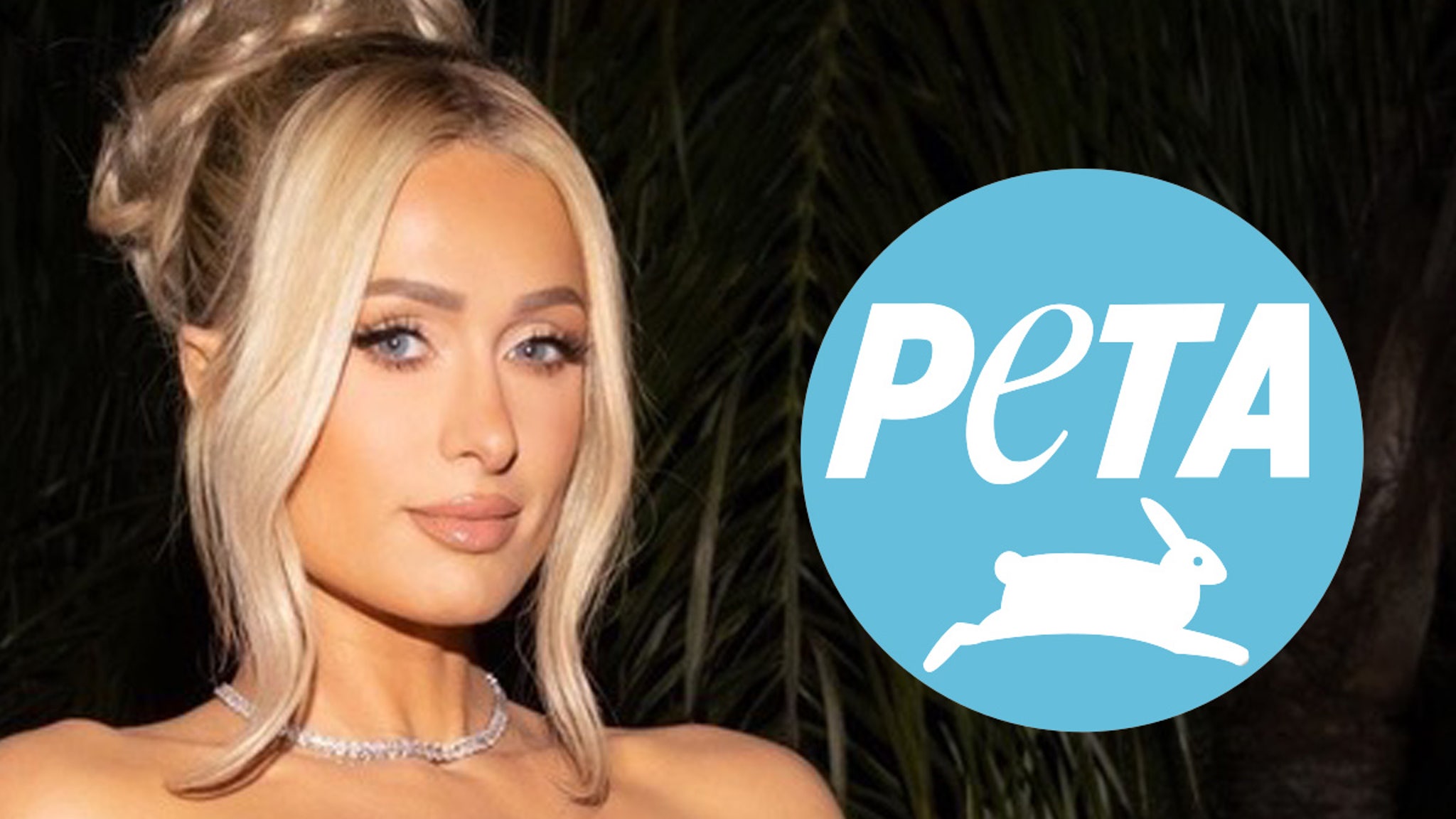 Paris Hilton Called Out By PETA For Not Adopting New Puppy