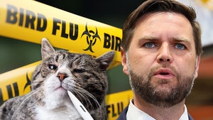 jd vance bird flu main