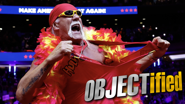 hulk hogan 2