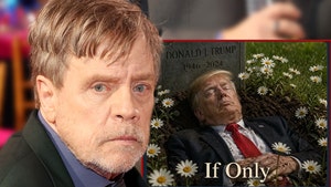 MAIN mark hamill left with this picture of trump being dead getty comp