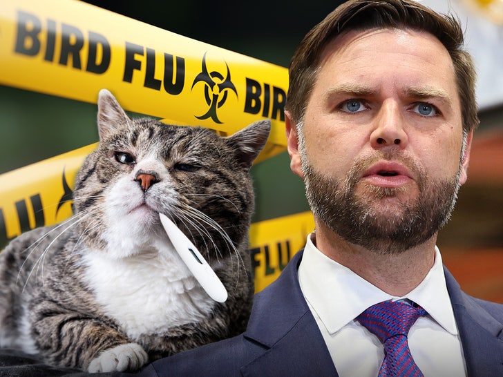 Avian Bird Flu Outbreak Among House Cats