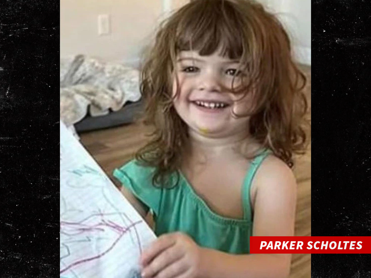 Parker Scholtes pima county sub swipe