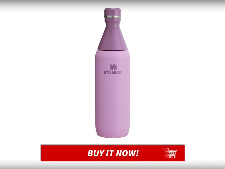 All-Day-Slim-Bottle-Gift-Guide-Stanley-Cups-MAIN