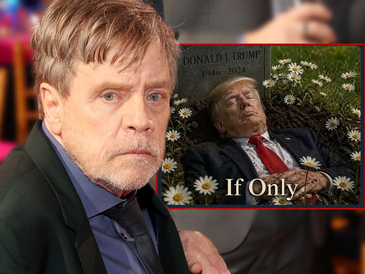 MAIN mark hamill left with this picture of trump being dead getty comp