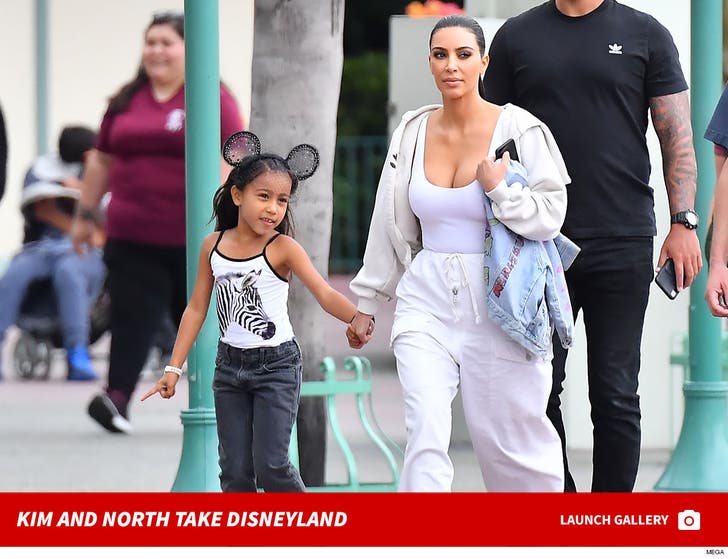 Kim Kardashian And Daughter North Visit Disneyland