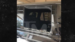 'RHOA' Star Porsha Williams Gets Gun, Louis Vuitton Bags Stolen from Car