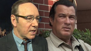 Kevin Spacey, Steven Seagal Won't Be Charged for 2 Alleged Sexual Assaults