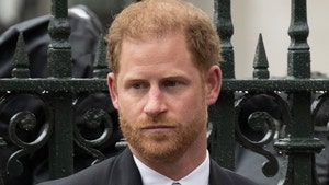 Prince Harry Never Met With Senior Royal Family Members After Coronation