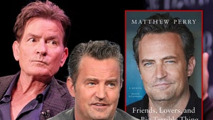 charlie sheen matthew perry book main getty composite