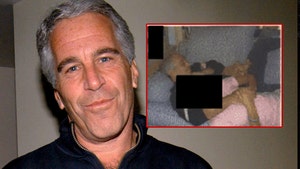 jeffrey epstein girl on couch getty composite
