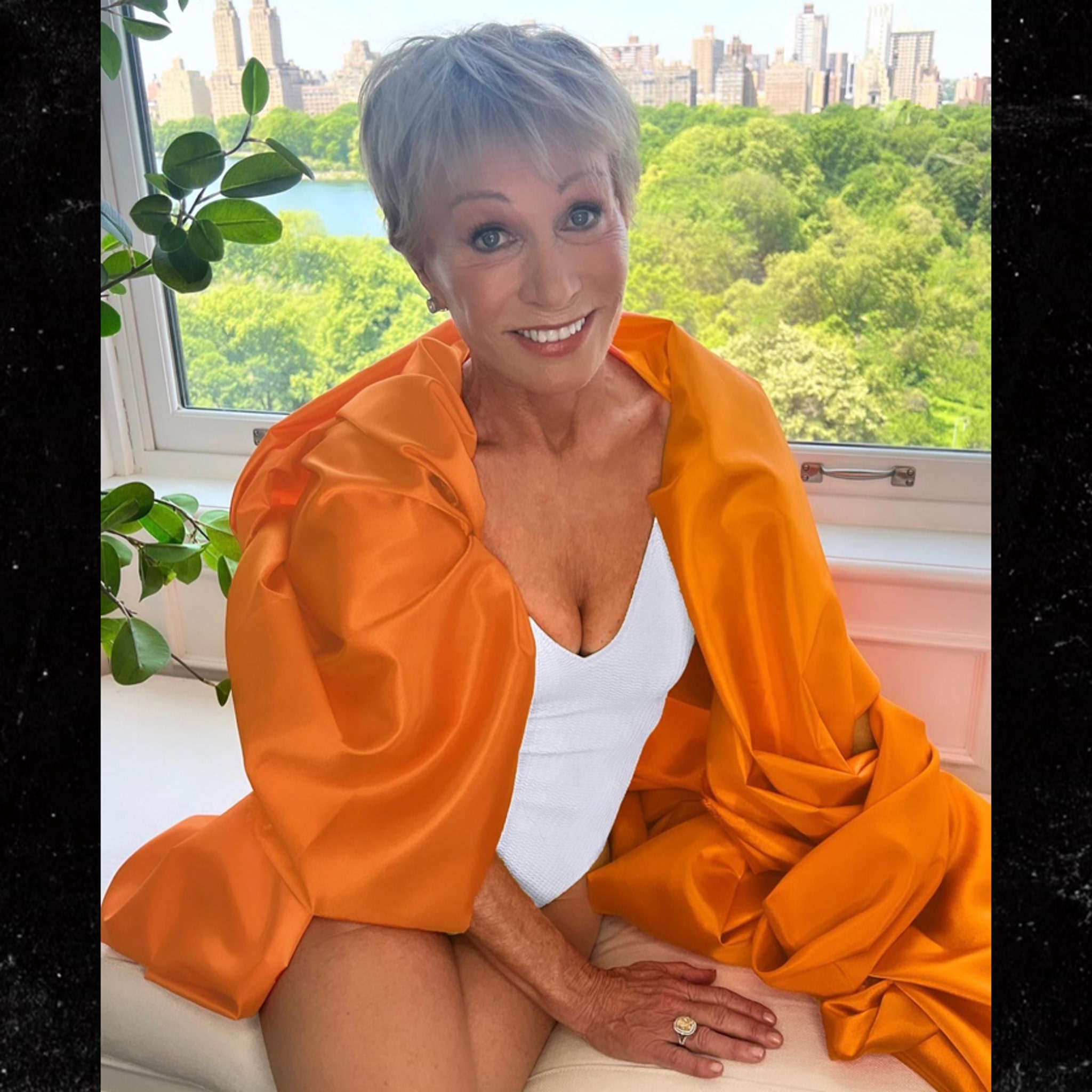 Barbara Corcoran Remakes Martha Stewart's S.I. Swim Cover, Kevin O'Leary  Weighs In