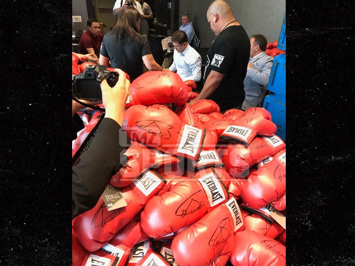 signed canelo gloves