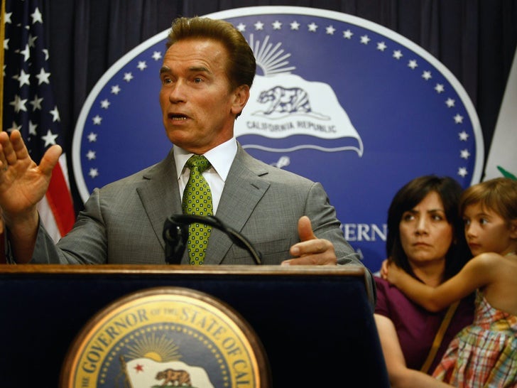 Arnold Schwarzenegger Acting As Governor Of California