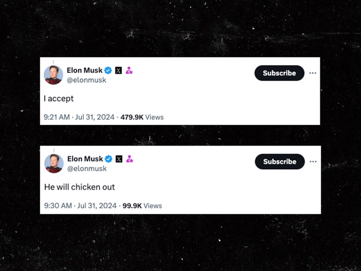 elon musk twitter 2