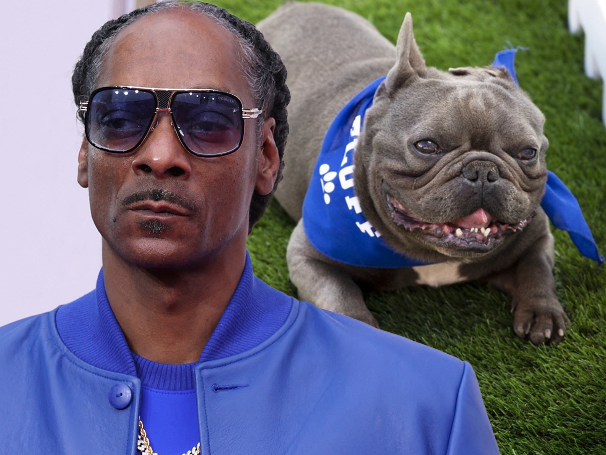 Snoop Dogg And Dog