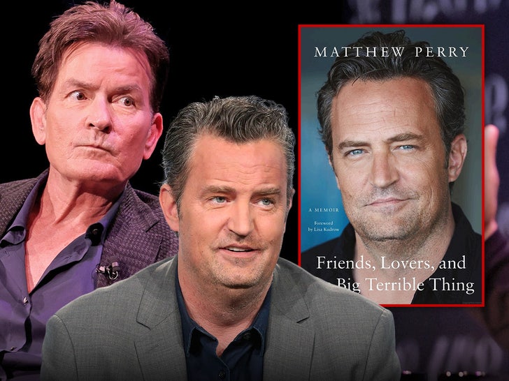 Charlie Sheen Matthew Perry Book Main Getty Composite