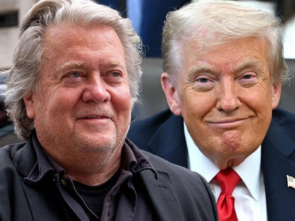 steve bannon donald trump getty comp