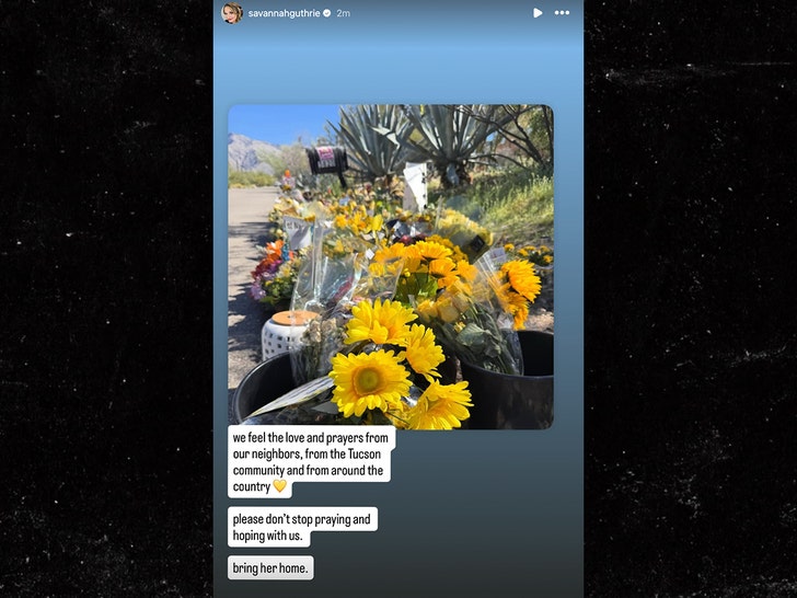 savannah-guthrie-sub-ig-1