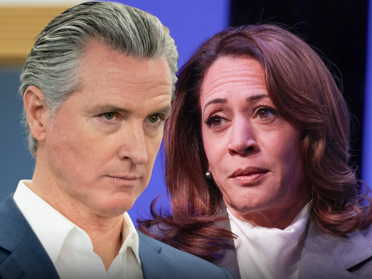 gavin newsom kamala harris principal