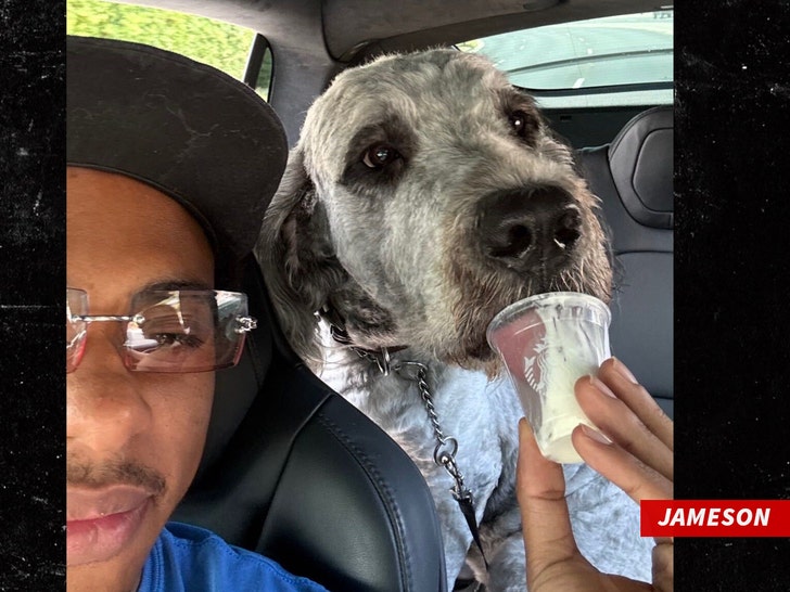 jAMESON the dog