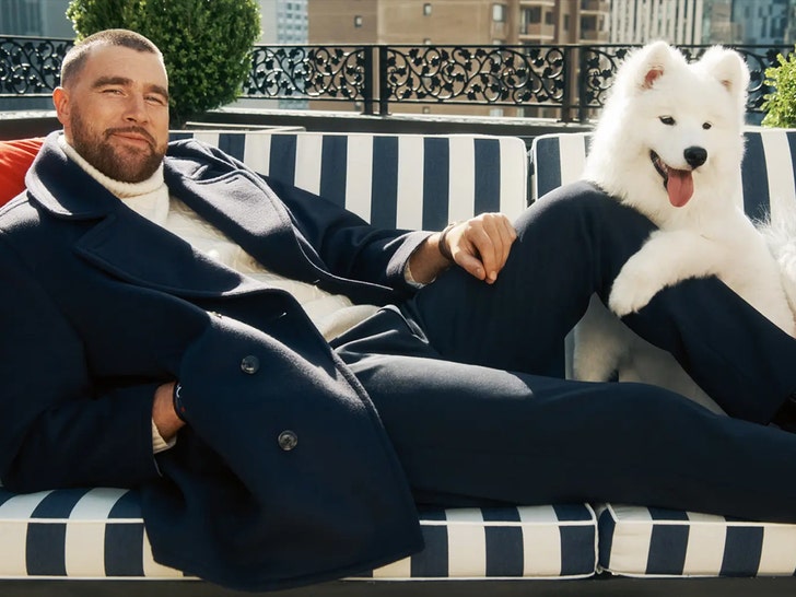 Travis Kelce and Taylor Swift’s dog makes fashion debut tommy hilfiger 1
