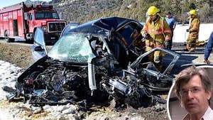 'Revenge of the Nerds' Star Robert Carradine -- Badly Hurt in Gruesome Car Crash