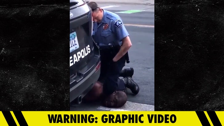 Michigan Cop Punches Black Man in the Face Repeatedly During Arrest