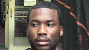 Meek Mill Bets Music Execs $10M His Career Isn't Over