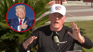 111125_pat_mcafee_primary