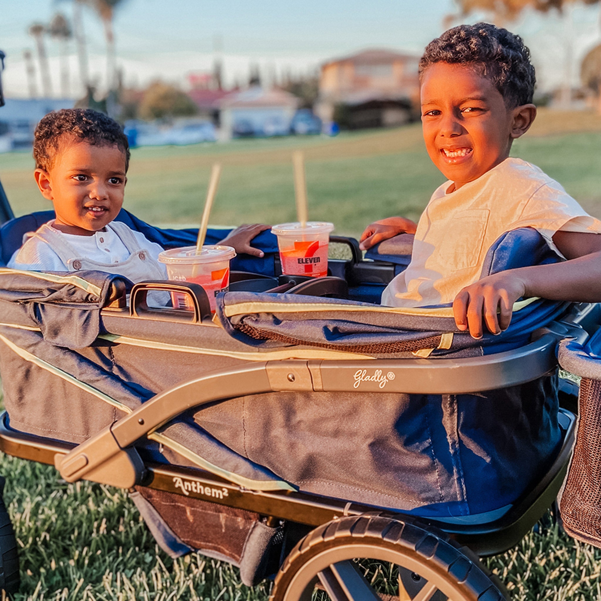 anthem wagon stroller