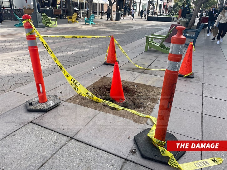 UCLA Rugby Players Vandalism Damage