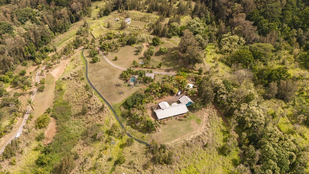 Roseanne Barr Home 7