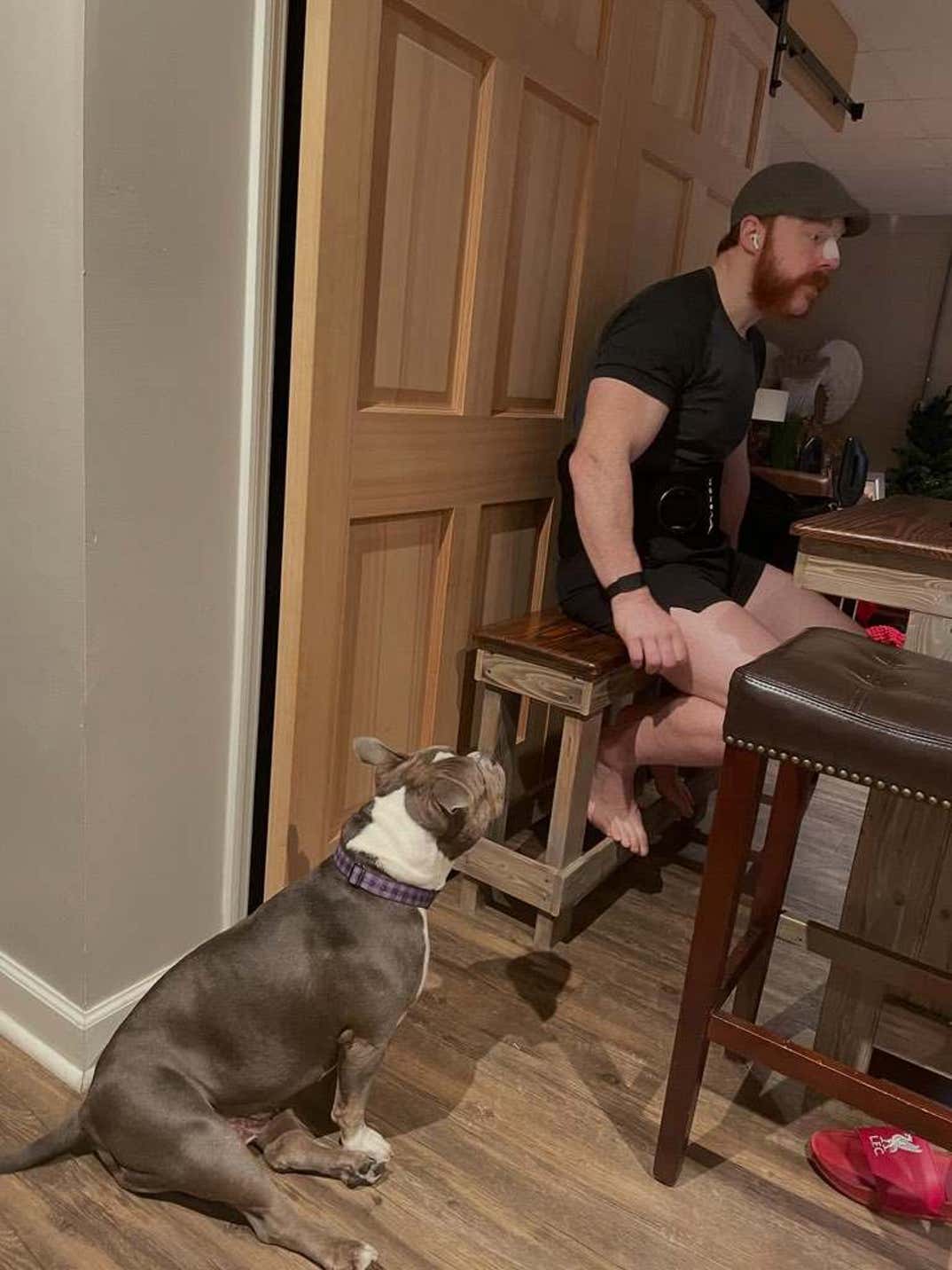 Sheamus Dog Betty 15