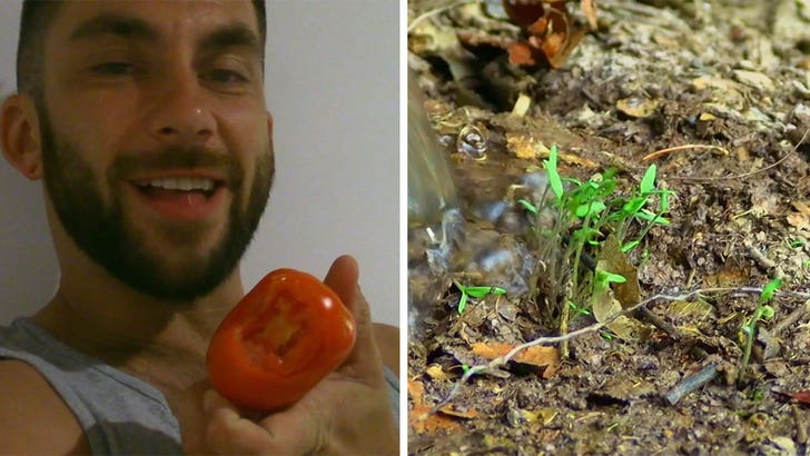 'Naked and Afraid XL' Contestant Poops Out Tomato Seeds to Grow Garden.jpg