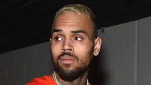 Chris Brown Says His Fan Photo Shoots Are Repairing Artist And Fan Relations