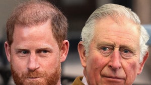 prince harry king charles iii main getty