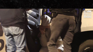 Nancy Guthrie possible suspect fox news sub BLUR