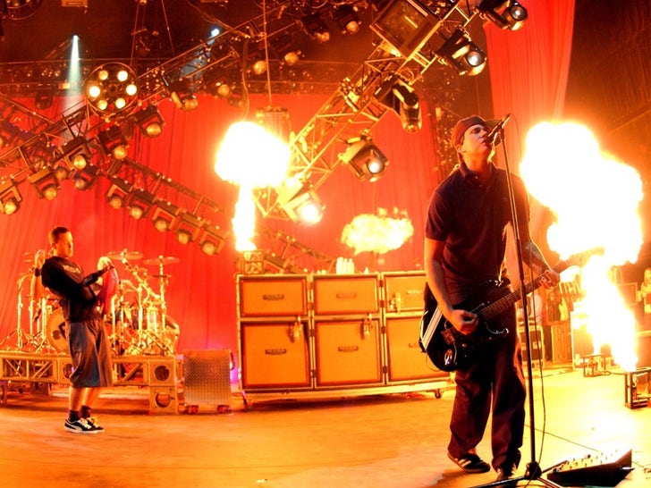 Blink 182 Performance Photos